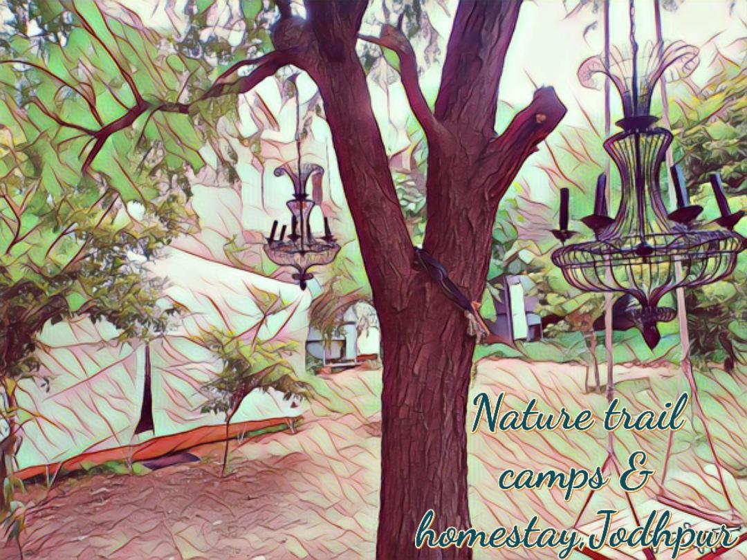 Nature Trail Camps & Homestay جودبور المظهر الخارجي الصورة